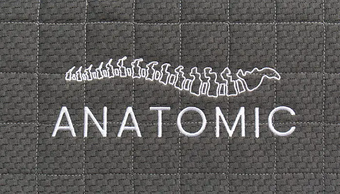 Anatomic-logo.webp