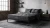 Anatomic_interior-1.webp