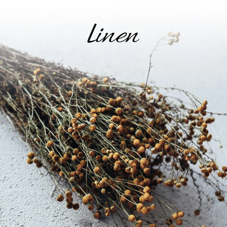 web_linen_logo.jpg